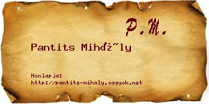 Pantits Mihály névjegykártya